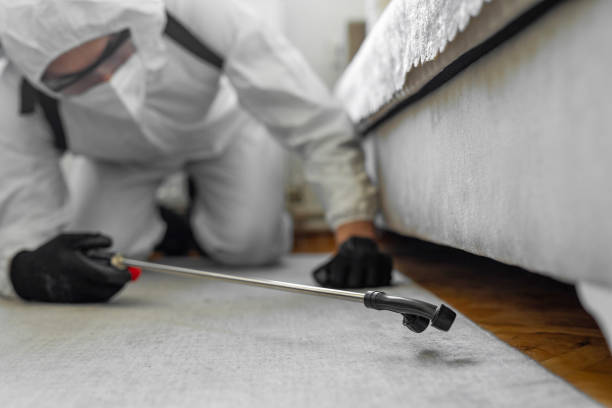 Professional Termite Control technician working in Oceana, WV