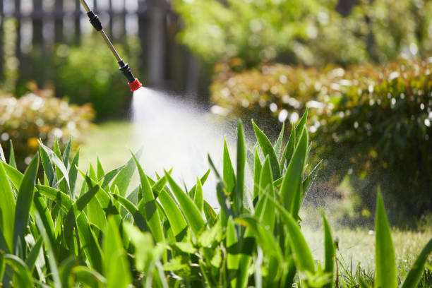 24/7 Emergency Termite Control experts in Oceana, WV