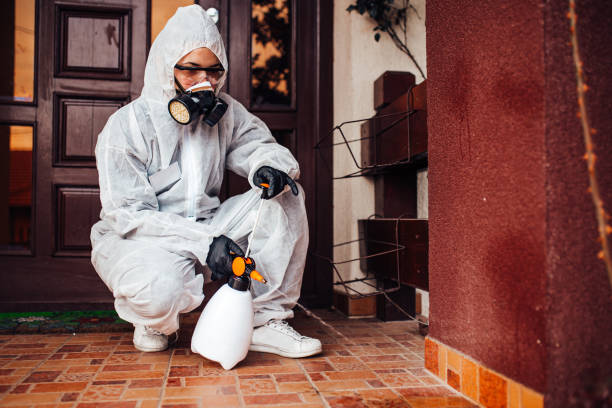 Reliable Termite Control contractor in Oceana, WV by Nex Pest Control