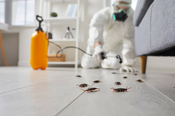 Trusted Cockroach Control service in Oceana, WV - Nex Pest Control