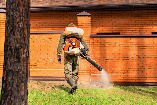 Trusted Termite Control service in Oceana, WV - Nex Pest Control